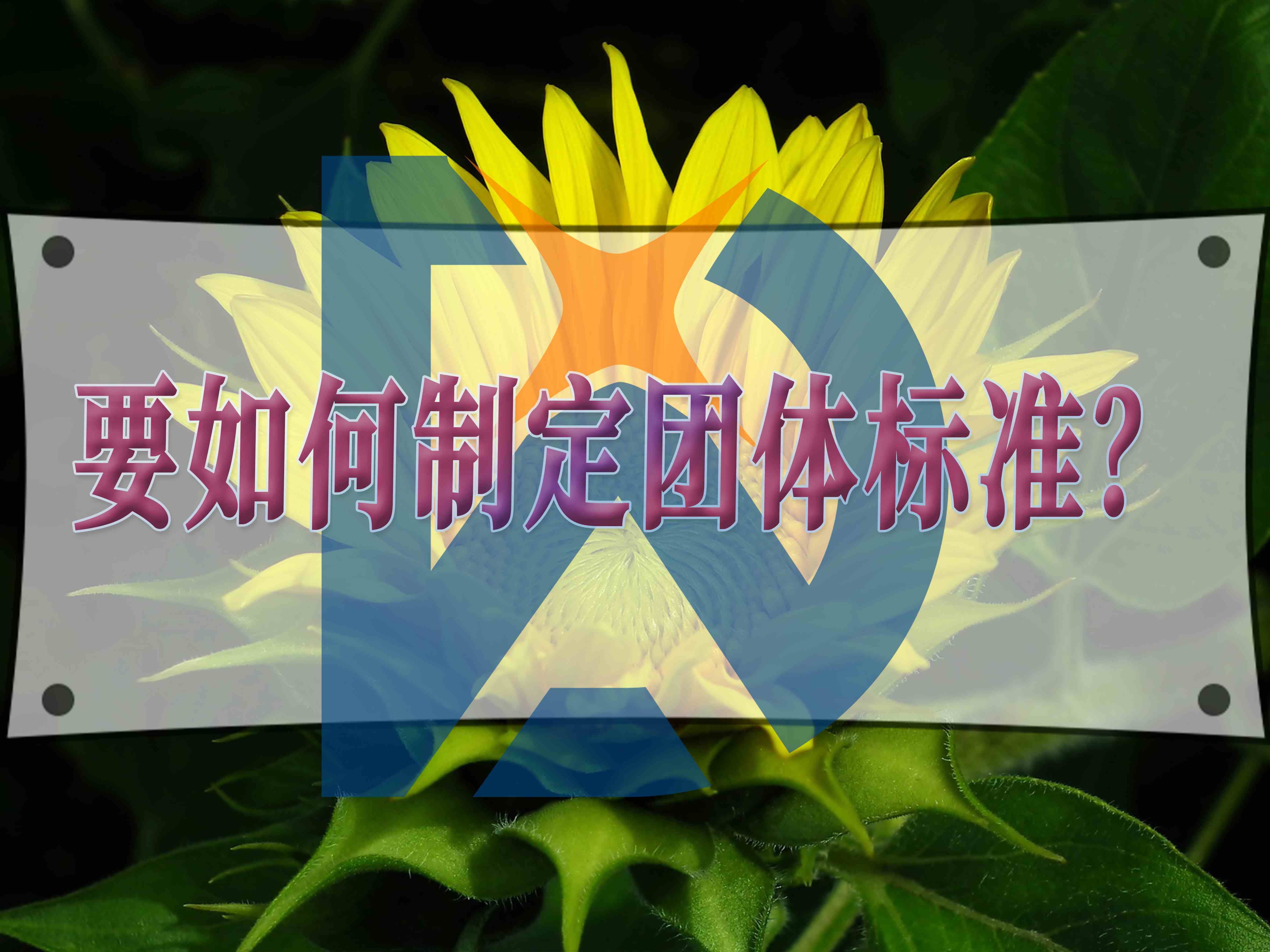 要如何制定團體標準？